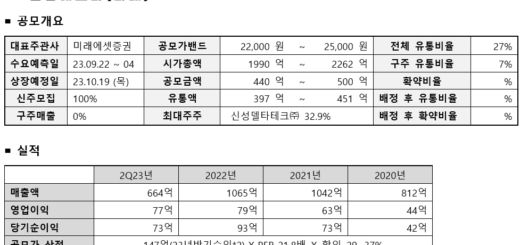 신성에스티 공모주